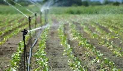 蔬菜灌溉如何做到合理有效,掌握基本灌溉方法